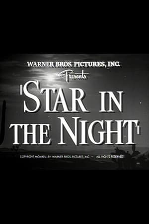 Star in the Night