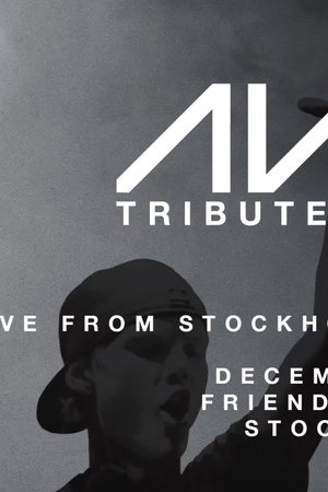 Avicii Tribute Concert - In Loving Memory of Tim Bergling