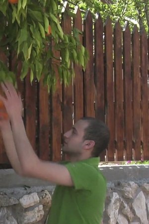 Oranges