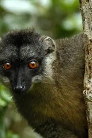 6. epizoda