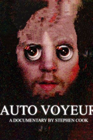 Auto Voyeur