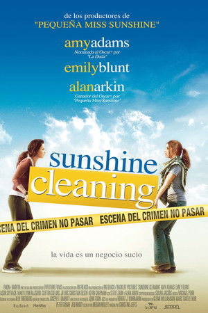 Sunshine Cleaning