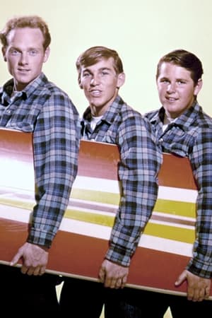 The Beach Boys - Live at Knebworth