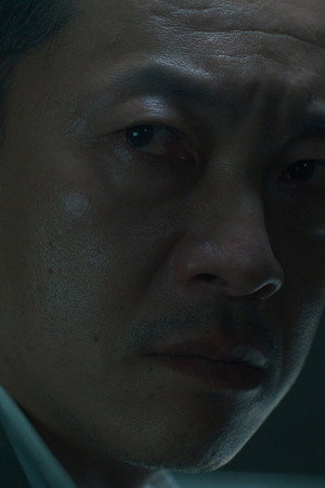 The Undetected Truth 2