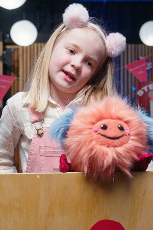The Stuffed Animals' Presidential Election