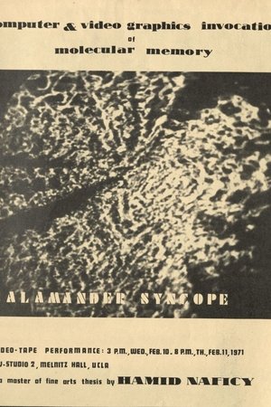 Salamander Syncope