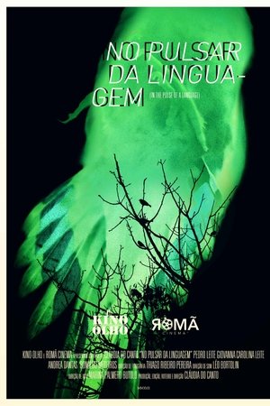 No Pulsar da Linguagem