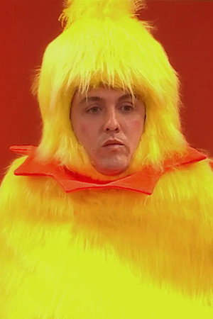 The Seagull and the Frankfurter