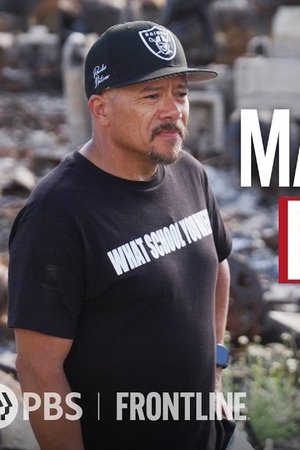 Maui's Deadly Firestorm