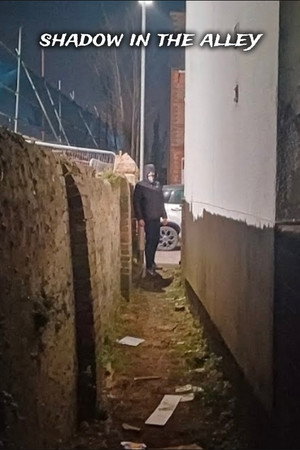 Shadow in the alley