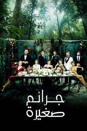 جرائم صغيرة