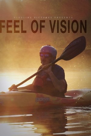 Feel of Vision