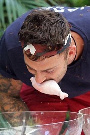 Hell's Kitchen / The Critter Cube