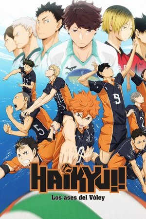 Haikyu!!