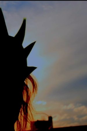 Liberté