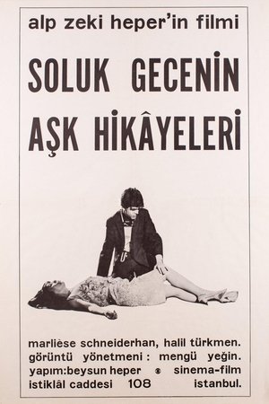 Soluk Gecenin Aşk Hikâyeleri