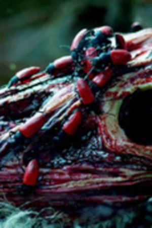 7. epizoda
