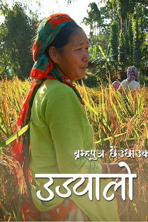 Ujyalo Assam