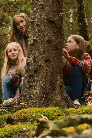 Chaos in the Treehouse