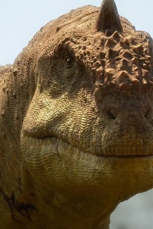 9. epizoda