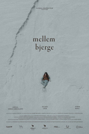 Mellem Bjerge