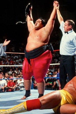 Yokozuna