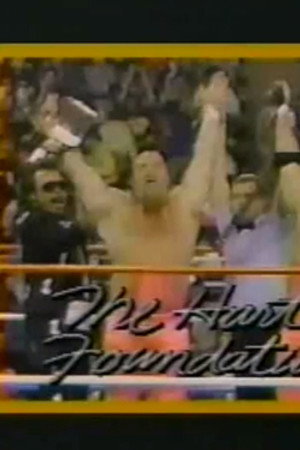 August 8, 1987 - Superstars of Wrestling 49
