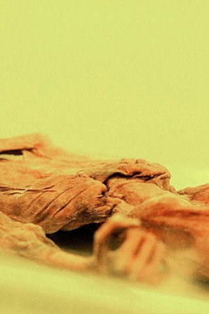 Mummies: a Challenge to Immortality