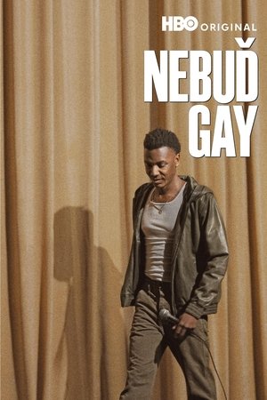 Nebuď gay