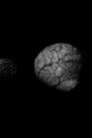 Brian; or, Brain
