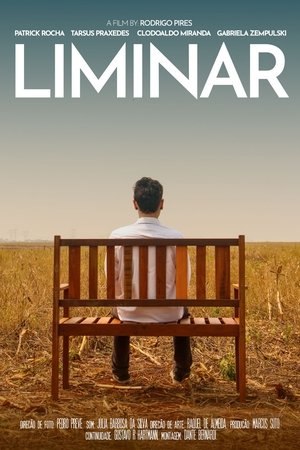 Liminar