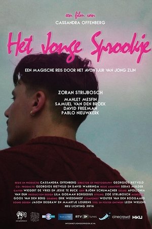 Het jonge sprookje