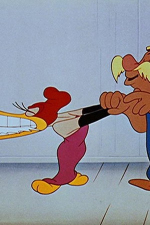 The Woody Woodpecker Polka