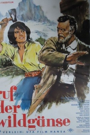 Ruf der Wildgänse