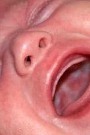 13. epizoda