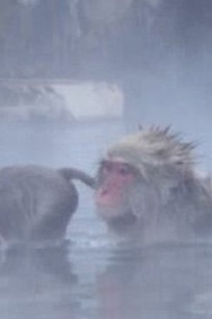 6. epizoda