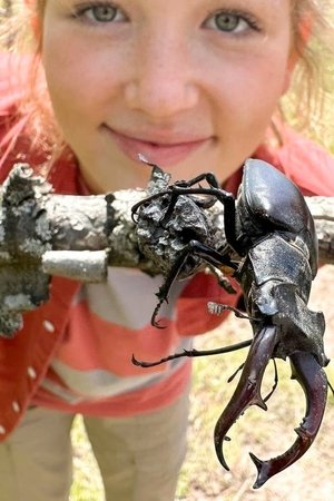 1. epizoda