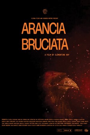 Arancia Bruciata