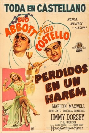 Abbott y Costello: Perdidos en un harém