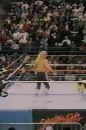 November 19, 1988 - Superstars of Wrestling 116