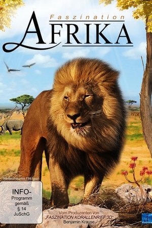 Faszination Afrika