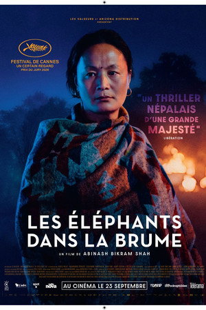 Les Éléphants dans la brume