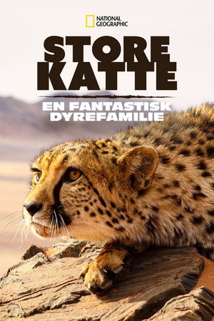 Big Cats: An Amazing Animal Family