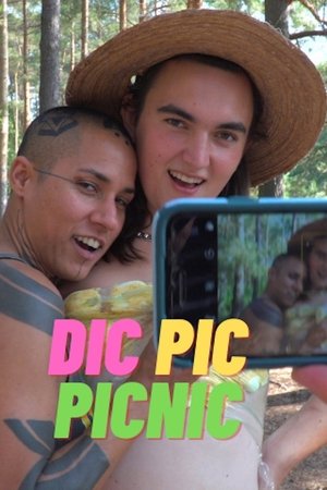 Dic Pic Picnic