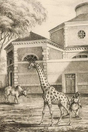 La Nuit tombe sur la ménagerie