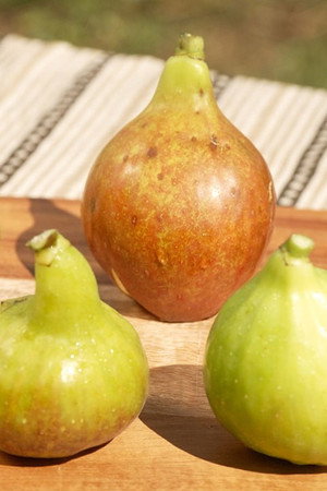 FIG