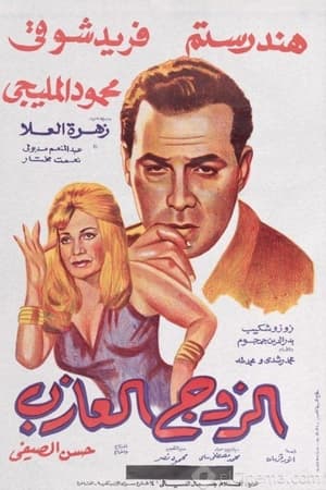 The Single Husband