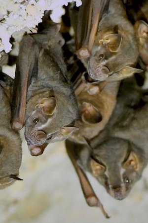 4. epizoda