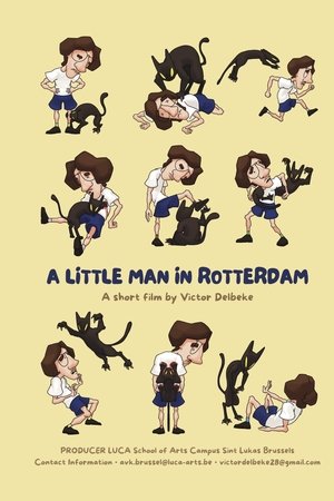 A Little Man in Rotterdam
