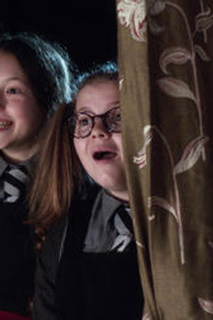 Narozeniny slečny Krákavé